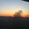 serenity_will78